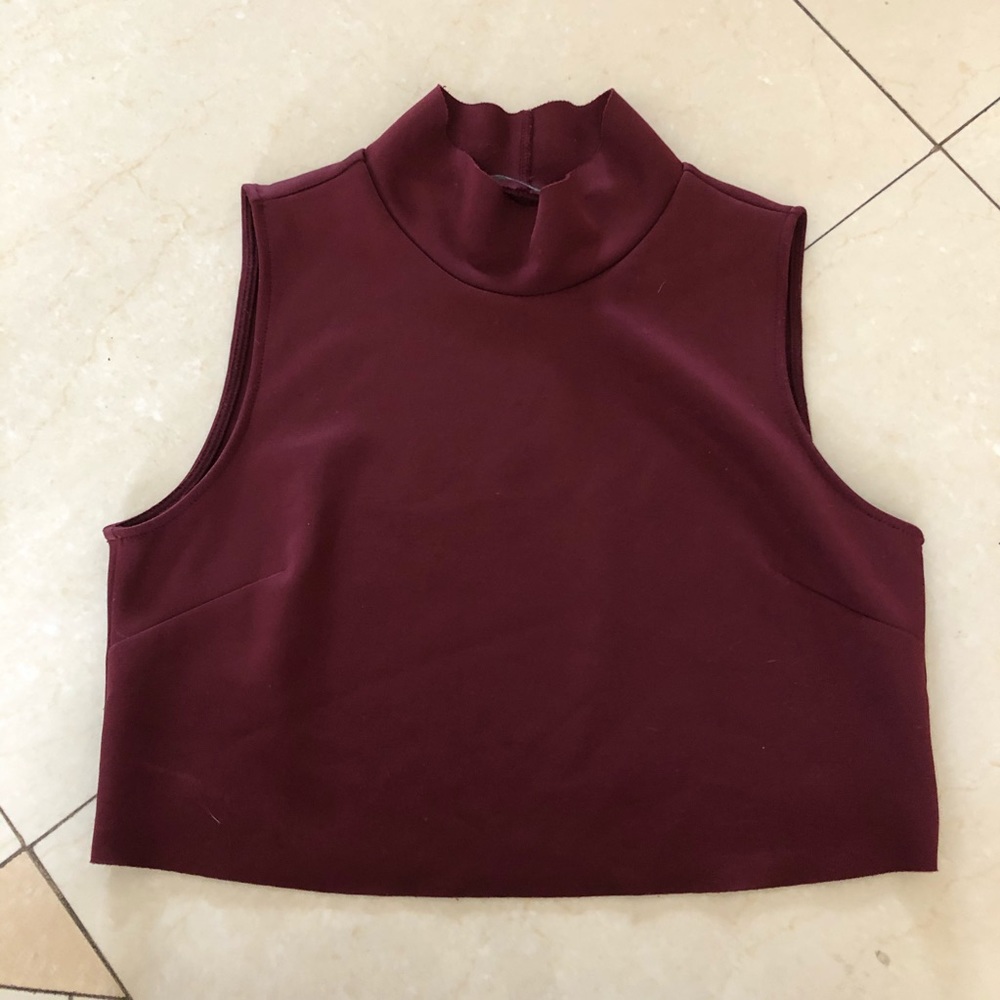 ZARA cropped turtleneck top